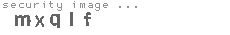 security image